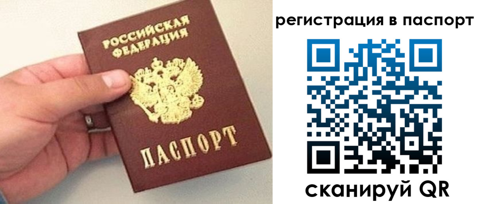 прописка законно в Ясногорске